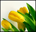Authentication Image