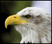 Authentication Image